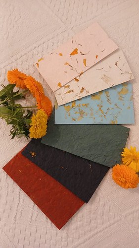 Money Envelopes