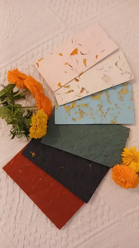 Money Envelopes