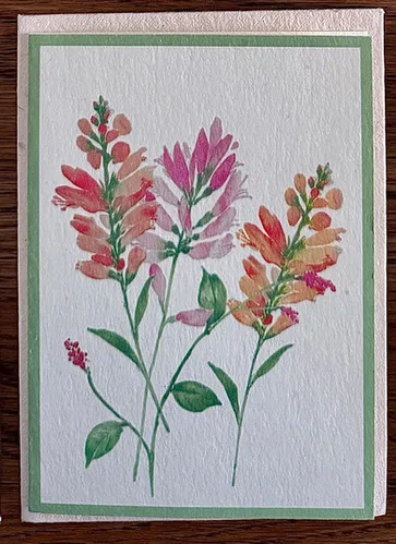 5 Blank Greeting Cards & Envelopes - Florals