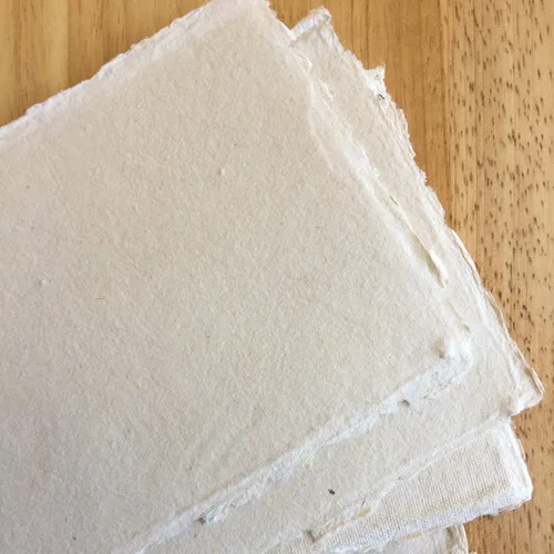 10 Deckled Edge Cards