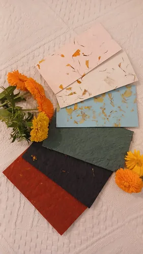 10 Marigold Paper Money Envelopes 3.5 x 6.5 inch