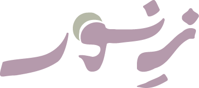Zaynur logo